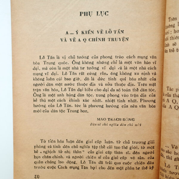 AQ CHÍNH TRUYỆN - Hình ảnh 4