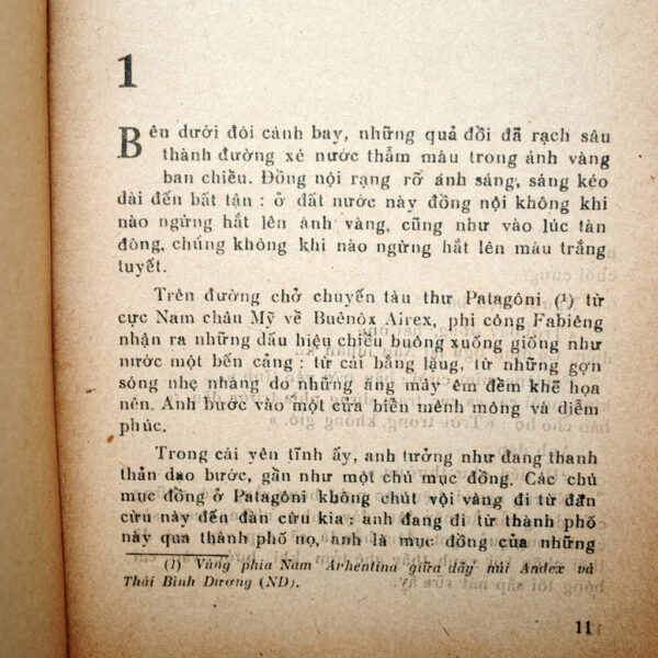BAY ĐÊM - Hình ảnh 2