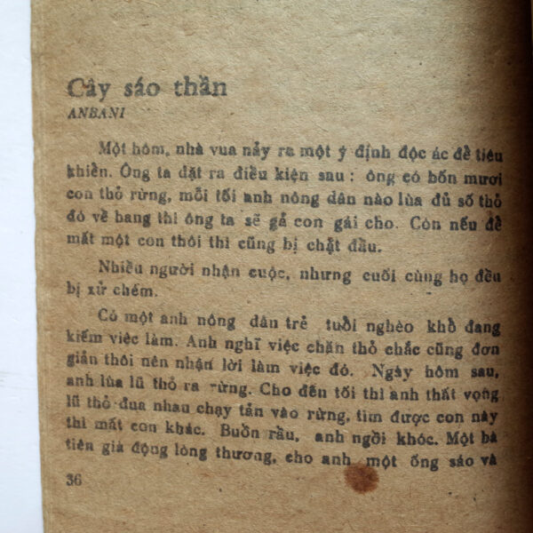 CÁI LỌ BẰNG VÀNG - Hình ảnh 4