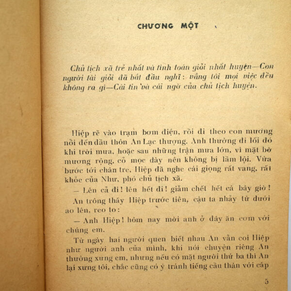 CHỦ TỊCH HUYỆN - Hình ảnh 2