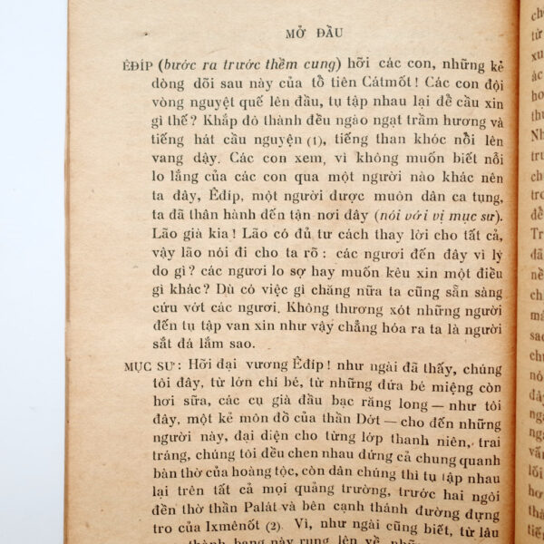 ÊĐÍP LÀM VUA - Hình ảnh 4