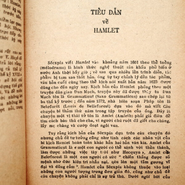 HAMLET - Hình ảnh 2