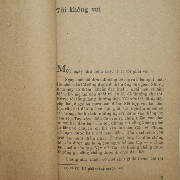 MAI PHỤC TRONG ĐÊM HÈ - Hình ảnh 2