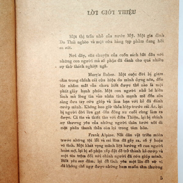NGƯỜI GIÚP VIỆC - Hình ảnh 3