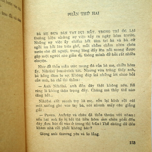 NGƯỜI MẸ - Hình ảnh 3