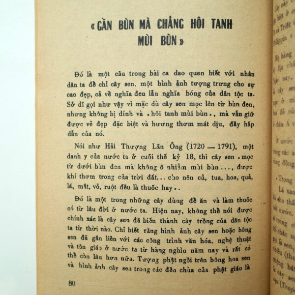 NHỮNG CÂY THUỐC BỔ THƯỜNG DÙNG - Hình ảnh 5