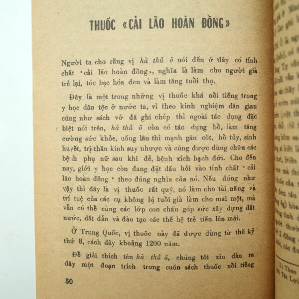 NHỮNG CÂY THUỐC BỔ THƯỜNG DÙNG - Hình ảnh 3