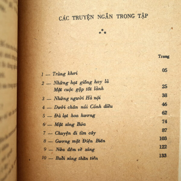 NỬA ĐÊM VỀ SÁNG - Hình ảnh 2