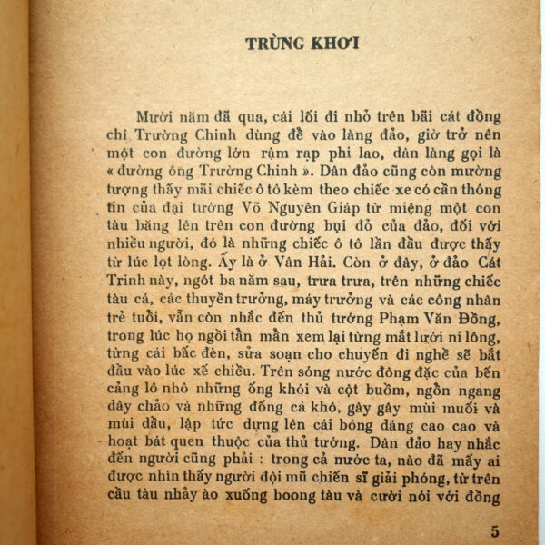 NỬA ĐÊM VỀ SÁNG - Hình ảnh 3