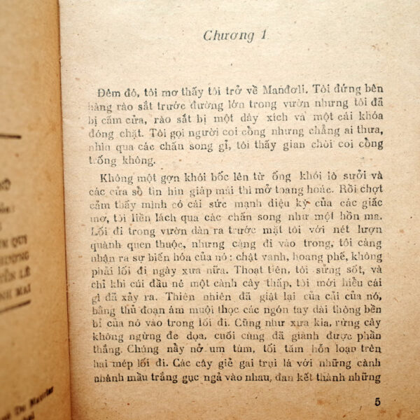 REBECCA - Hình ảnh 2