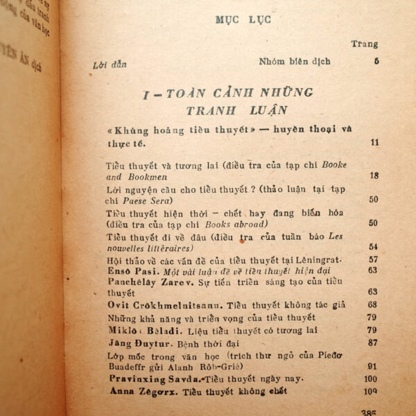 SỐ PHẬN CỦA TIỂU THUYẾT - Hình ảnh 2