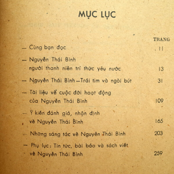 SƯU TẬP VỀ NGUYỄN THÁI BÌNH - Hình ảnh 2