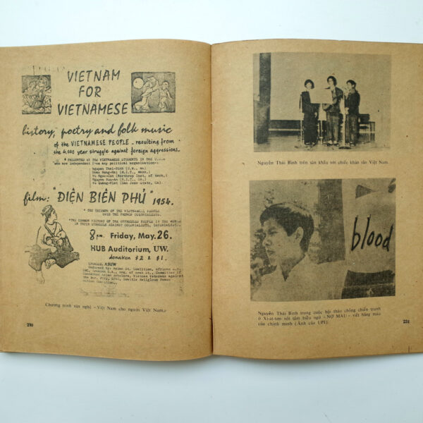 SƯU TẬP VỀ NGUYỄN THÁI BÌNH - Hình ảnh 6