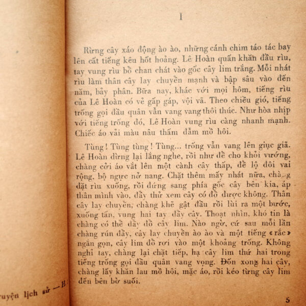 THẬP ĐẠO TƯỚNG QUÂN LÊ HOÀN - Hình ảnh 2