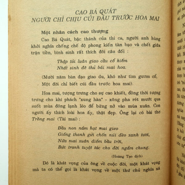 TRƯỚC ĐÈN - Hình ảnh 5