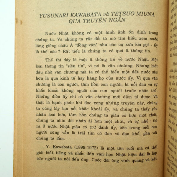 TRƯỚC ĐÈN - Hình ảnh 7
