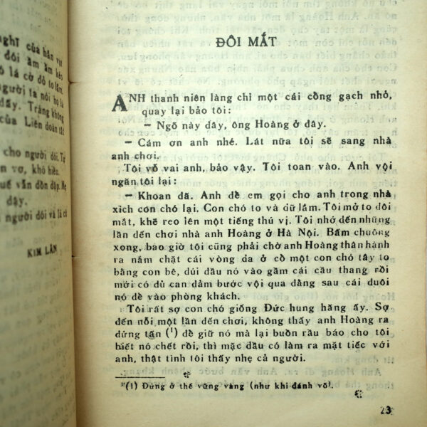TRUYỆN NGẮN VIỆT NAM 1945-1985 - Hình ảnh 6