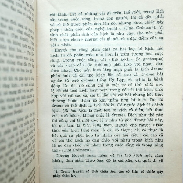 VICTOR HUGO Ở VIỆT NAM - Hình ảnh 6