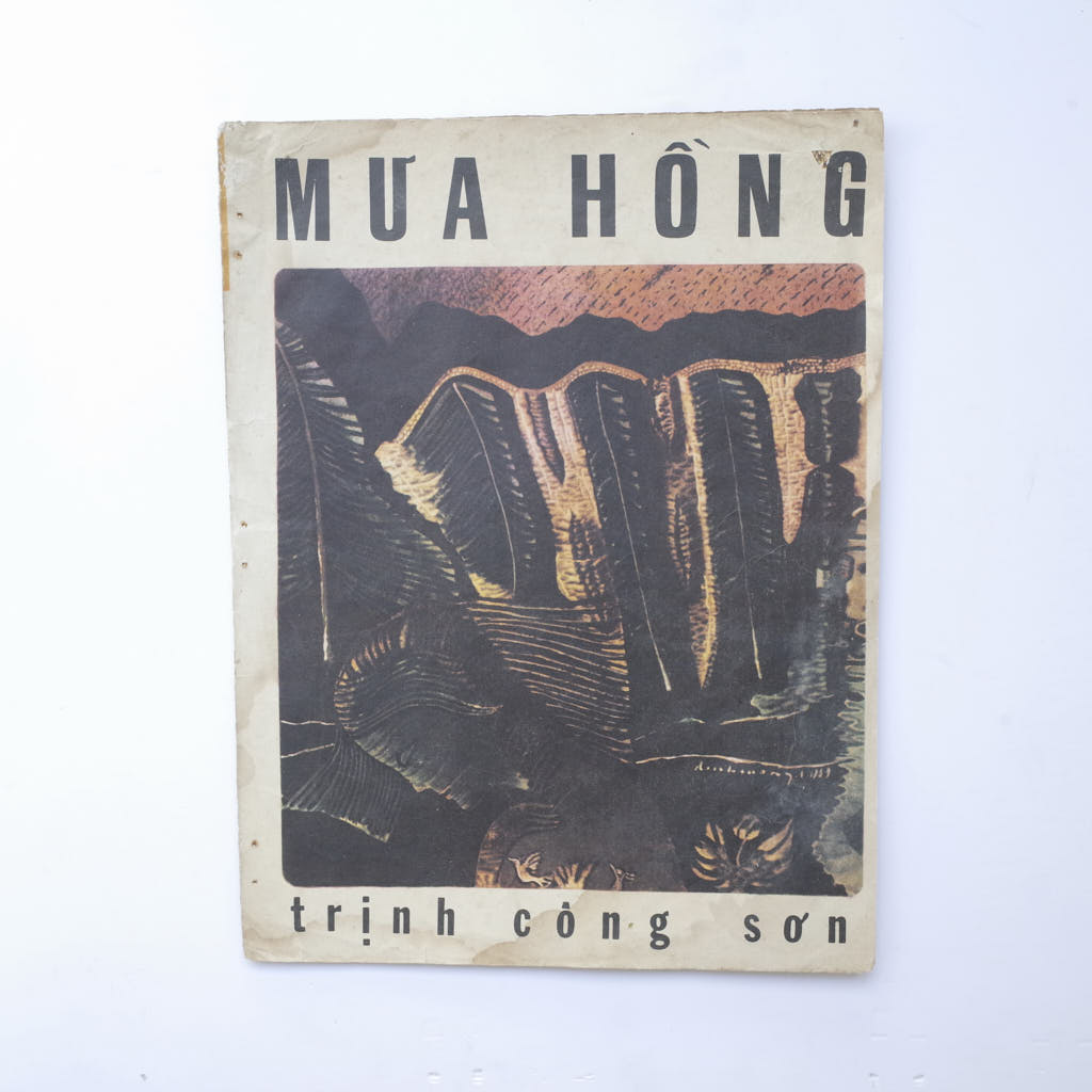 MƯA HỒNG