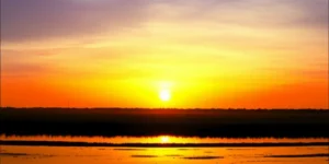 Lửa thiêng của Huy Cận: Giá trị nội dung và nghệ thuật sâu sắc tiemsachcolosi.com